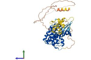 AlphaFold protein structure predicition of Mouse Recombinant Cdk16 Protein, UniprotID Q04735