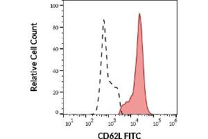 Separation of human CD62L positive lymphocytes (red-filled) from CD62L negative lymphocytes (black-dashed) in flow cytometry analysis (surface staining) of human peripheral whole blood stained using anti-human CD62L (LT-TD180) FITC antibody (20 μL reagent / 100 μL of peripheral whole blood). (L-Selectin anticorps  (FITC))