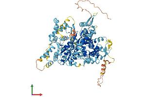 AlphaFold protein structure predicition of Human Recombinant GPAT2 Protein, UniprotID Q6NUI2