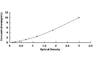 Typical standard curve (CEBPB Kit ELISA)