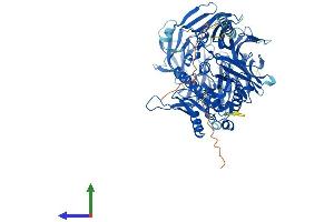 AlphaFold protein structure predicition of Mouse Recombinant Dpp6 Protein, UniprotID Q9Z218