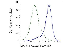 Validation of MARS1 knockdown using flow cytometry. (Recombinant Methionine--tRNA Ligase, Cytoplasmic anticorps)