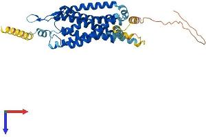 AlphaFold protein structure predicition of Human Recombinant NMUR2 Protein, UniprotID Q9GZQ4