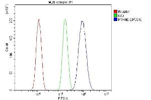 Flow Cytometry analysis of A431 cells using anti-SHP1/PTPN6 antibody (ABIN7602271).