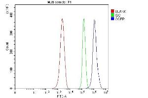 Flow Cytometry analysis of ANA-1 cells using anti-Ogfr antibody (ABIN7600657). (OGFR anticorps  (AA 217-427))