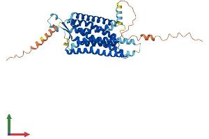 AlphaFold protein structure predicition of Human Recombinant NPY1R Protein, UniprotID P25929