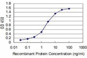 Detection limit for recombinant GST tagged BOLL is approximately 0. (BOLL anticorps  (AA 185-283))