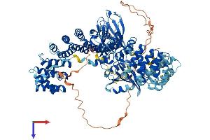 AlphaFold protein structure predicition of Mouse Recombinant Ap1b1 Protein, UniprotID O35643