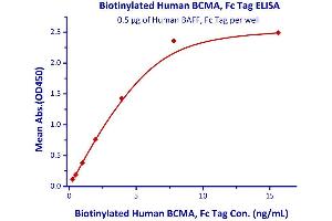 Immobilized Human BAFF, Fc Tag  with a linear range of 0.