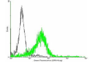 FACS analysis of negative control 293 cells (Black) and RGS6 expressing 293 cells (Green) using RGS6 purified MaxPab mouse polyclonal antibody.