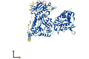 AlphaFold protein structure predicition of Human Recombinant NDST2 Protein, UniprotID P52849