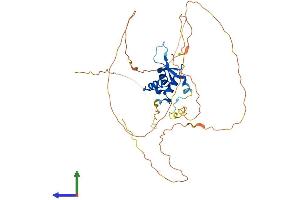 AlphaFold protein structure predicition of Human Recombinant FOXF1 Protein, UniprotID Q12946