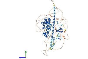 AlphaFold protein structure predicition of Mouse Recombinant Smarcc2 Protein, UniprotID Q6PDG5