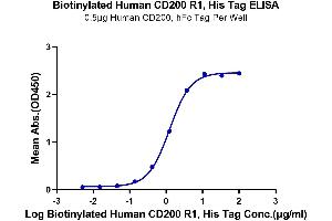 Immobilized Human CD200, hFc Tag at 5 μg/mL (100 μL/well) on the plate.