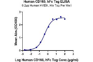Immobilized Human HVEM, His Tag at 2 μg/mL (100 μL/Well) on the plate. (CD160 Protein (CD160) (AA 25-158) (Fc Tag))