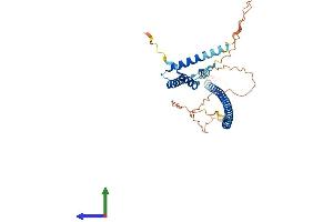 AlphaFold protein structure predicition of Mouse Recombinant Naif1 Protein, UniprotID Q6PFD7