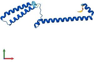 AlphaFold protein structure predicition of Mouse Recombinant Med10 Protein, UniprotID Q9CXU0