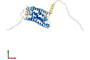 AlphaFold protein structure predicition of Human Recombinant CMKLR1 Protein, UniprotID Q99788