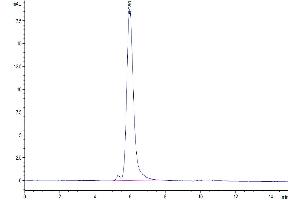 The purity of Human EGFR/HER1 is greater than 95 % as determined by SEC-HPLC.