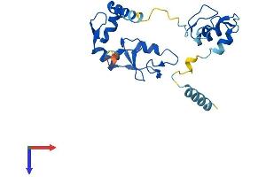 AlphaFold protein structure predicition of Mouse Recombinant Rnf114 Protein, UniprotID Q9ET26