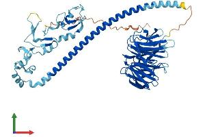 AlphaFold protein structure predicition of Mouse Recombinant Traf7 Protein, UniprotID Q922B6