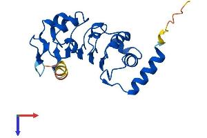 AlphaFold protein structure predicition of Human Recombinant LRRC51 Protein, UniprotID Q96E66