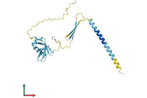 AlphaFold protein structure predicition of Human Recombinant CIDEB Protein, UniprotID Q9UHD4