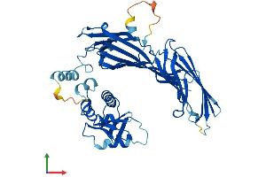 AlphaFold protein structure predicition of Human Recombinant AP2M1 Protein, UniprotID Q96CW1