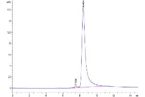 The purity of Mouse TNFSF15 is greater than 95 % as determined by SEC-HPLC.