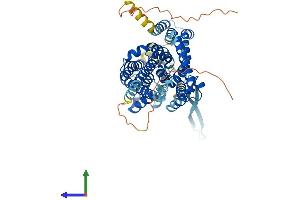 AlphaFold protein structure predicition of Human Recombinant SLC1A4 Protein, UniprotID P43007