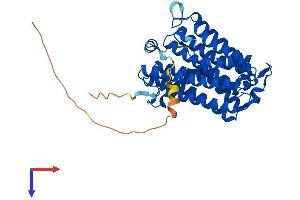 AlphaFold protein structure predicition of Mouse Recombinant Cept1 Protein, UniprotID Q8BGS7
