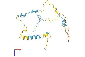 AlphaFold protein structure predicition of Human Recombinant SZRD1 Protein, UniprotID Q7Z422