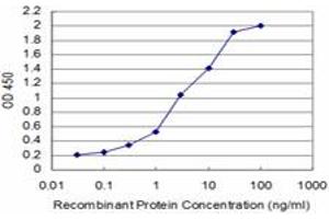 Detection limit for recombinant GST tagged SMAD5 is approximately 0. (SMAD5 anticorps  (AA 105-182))