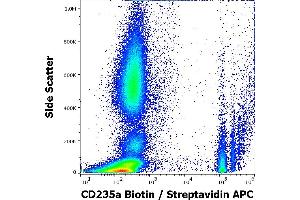 Flow cytometry surface staining pattern of human peripheral whole blood stained using anti-human CD235a (JC159) Biotin antibody (concentration in sample 5 μg/mL, Streptavidin APC). (CD235a/GYPA anticorps  (Biotin))