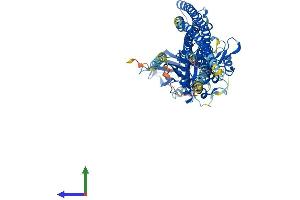 AlphaFold protein structure predicition of Mouse Recombinant Ikbke Protein, UniprotID Q9R0T8