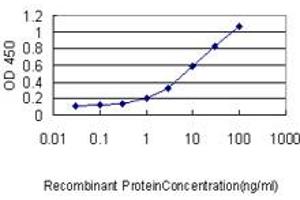 Detection limit for recombinant GST tagged GABPA is approximately 0. (GABPA anticorps  (AA 1-454))