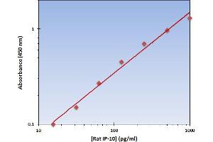 Chemokine (C-X-C Motif) Ligand 10 (CXCL10) ELISA Kit