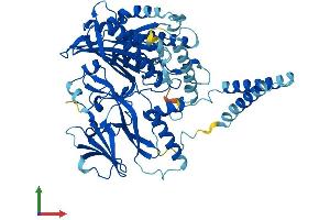 AlphaFold protein structure predicition of Mouse Recombinant Sacm1l Protein, UniprotID Q9EP69