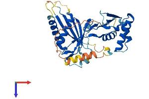 AlphaFold protein structure predicition of Mouse Recombinant Cenpl Protein, UniprotID Q3U3S3
