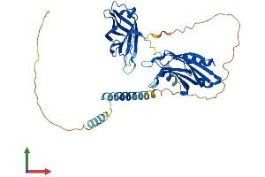 AlphaFold protein structure predicition of Human Recombinant SYT1 Protein, UniprotID P21579