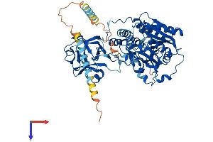 AlphaFold protein structure predicition of Mouse Recombinant Galnt18 Protein, UniprotID Q8K1B9