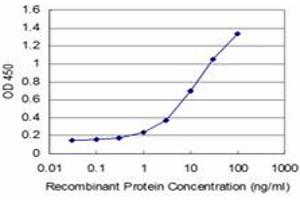 Detection limit for recombinant GST tagged HOXA5 is approximately 0. (HOXA5 anticorps  (AA 171-270))