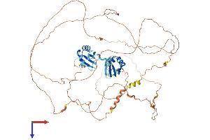 AlphaFold protein structure predicition of Mouse Recombinant Rbm14 Protein, UniprotID Q8C2Q3