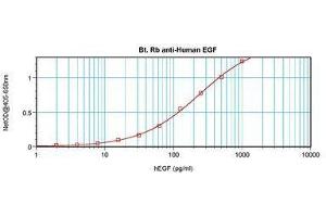 Image no. 1 for anti-Epidermal Growth Factor (EGF) antibody (Biotin) (ABIN465856) (EGF anticorps  (Biotin))