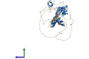 AlphaFold protein structure predicition of Mouse Recombinant Srgap2 Protein, UniprotID Q91Z67