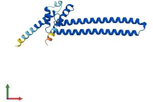 AlphaFold protein structure predicition of Mouse Recombinant Dgcr6 Protein, UniprotID O35347