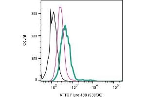Cell surface detection of 5-Hydroxytryptamine receptor 1B by direct flow cytometry in live intact human  monocytic leukemia cell line: + Rabbit IgG Isotype Control-ATTO 488 (ABIN7582041).