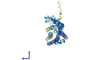 AlphaFold protein structure predicition of Human Recombinant OR5V1 Protein, UniprotID Q9UGF6