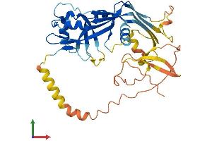 AlphaFold protein structure predicition of Human Recombinant PJVK Protein, UniprotID Q0ZLH3