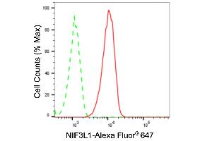 Flow cytometric analysis of NIF3L1 expression in HT- cells using NIF3L1 antibody (ABIN7799600), 1:2,000).